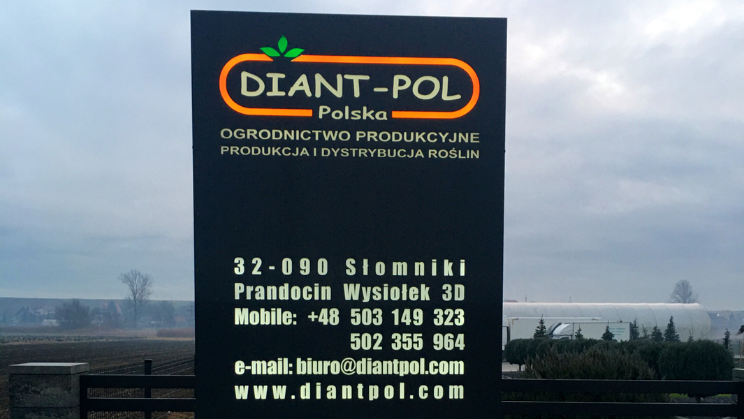 Zdjęcie na okładce dla DIANT-POL POLSKA PRODUKCJA I DYSTRYBUCJA ROŚLIN